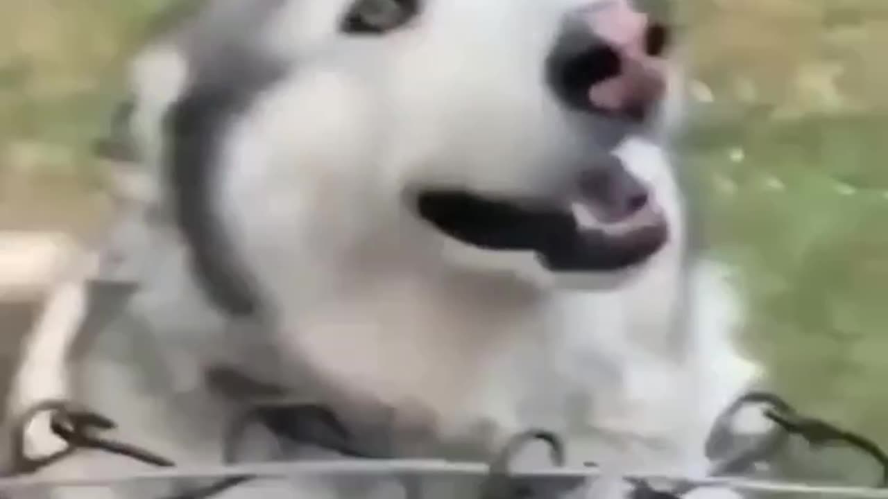 Ooooooeo...!