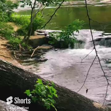 Flow like the river #shorts