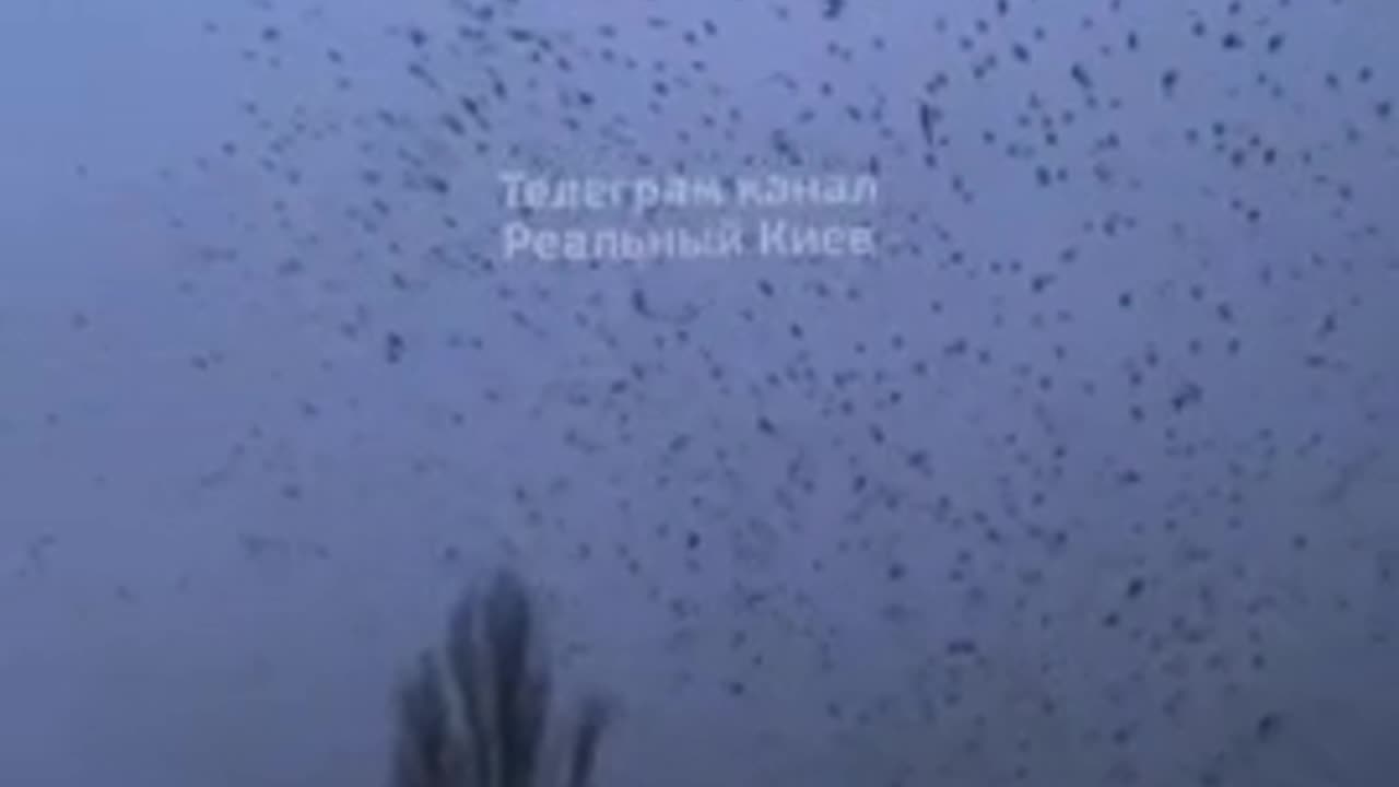 Thousands of Crows in the Skies Above Kyiv, Ukraine Harbingers of Death