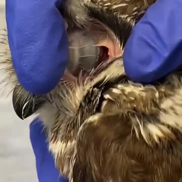 Wtf? No way. | if anyone has any information on this please share lol