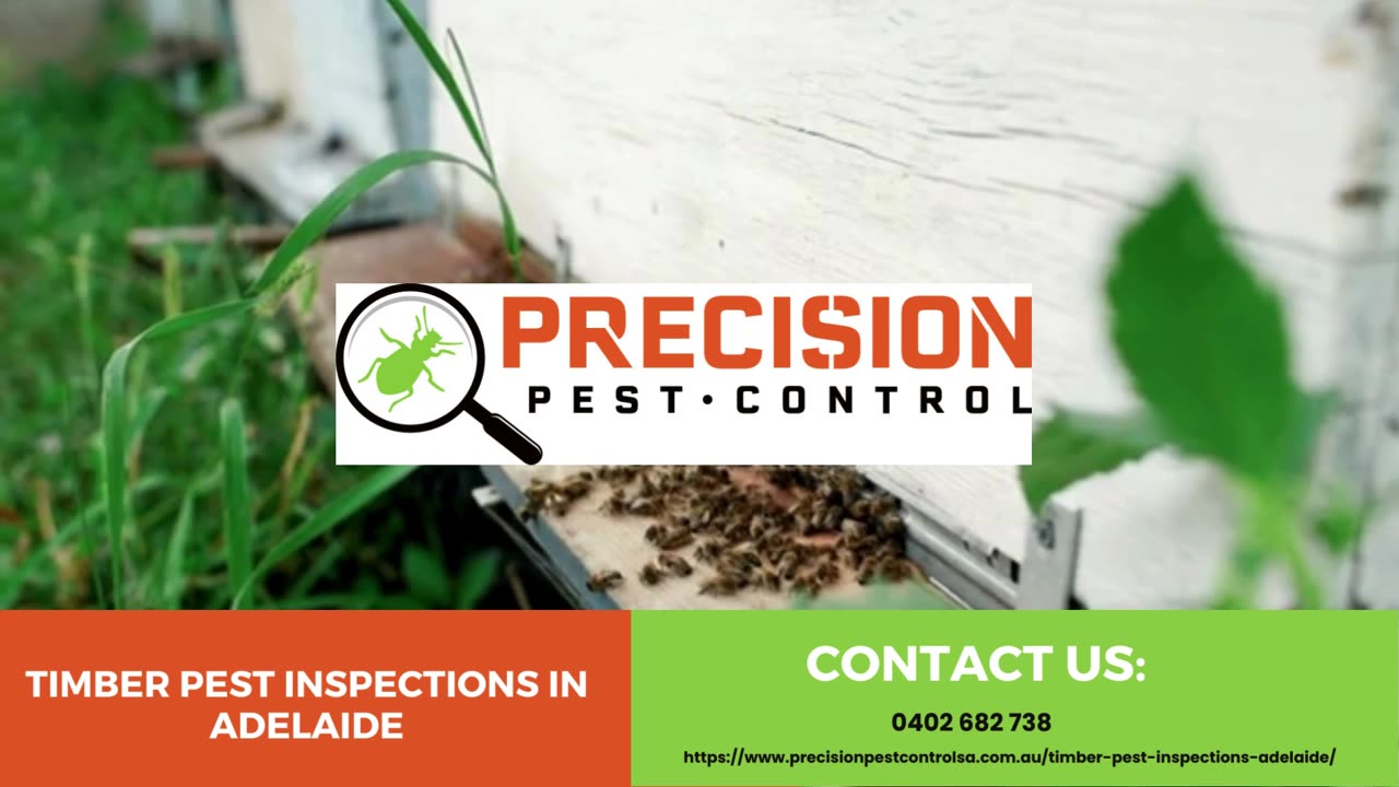 Ensuring Property Integrity: Timber Pest Inspections in Adelaide