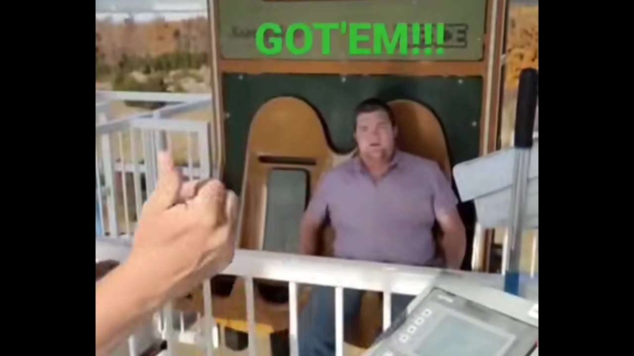 Random Memes 800