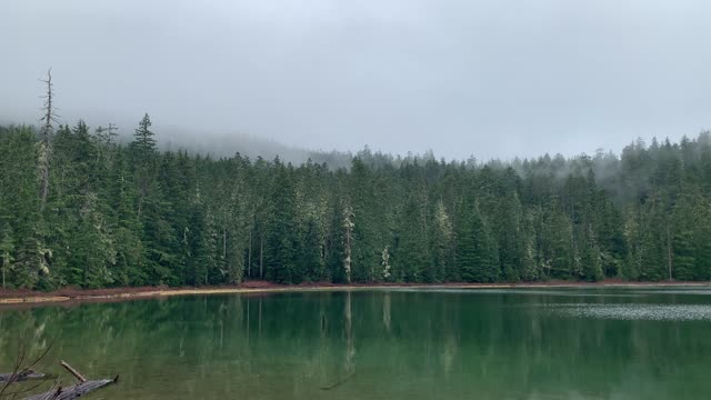 Oregon – Mount Hood National Forest – Green & Serene – 4K