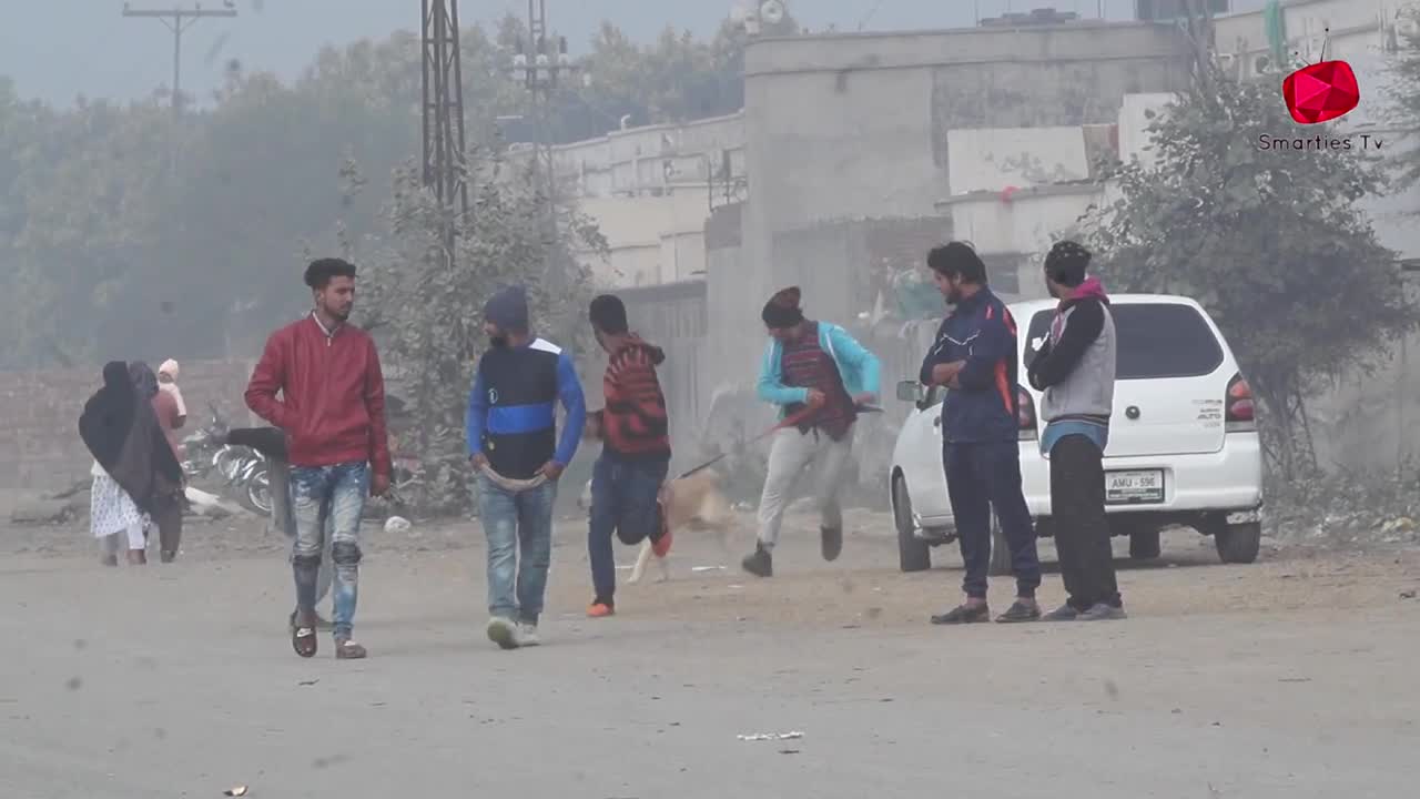 Real dog break prank