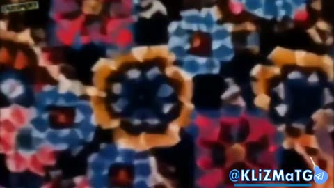 How many thousands of years have not washed this carpet?!😳