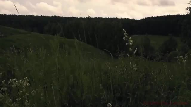 Snail's speed to hunt earthworm is faster than leopard_Cut