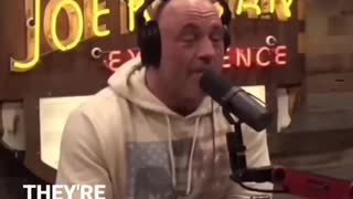 Joe Rogan describes the coming Red Wave