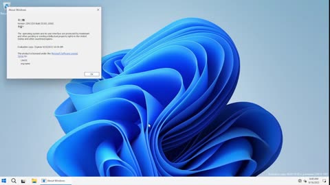 Windows 11 Build 25182 FOR TESTERS - LiteOS [ 2in1 ]