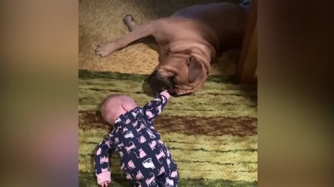 Funniest Baby Videos of the Week Try Not To Laugh