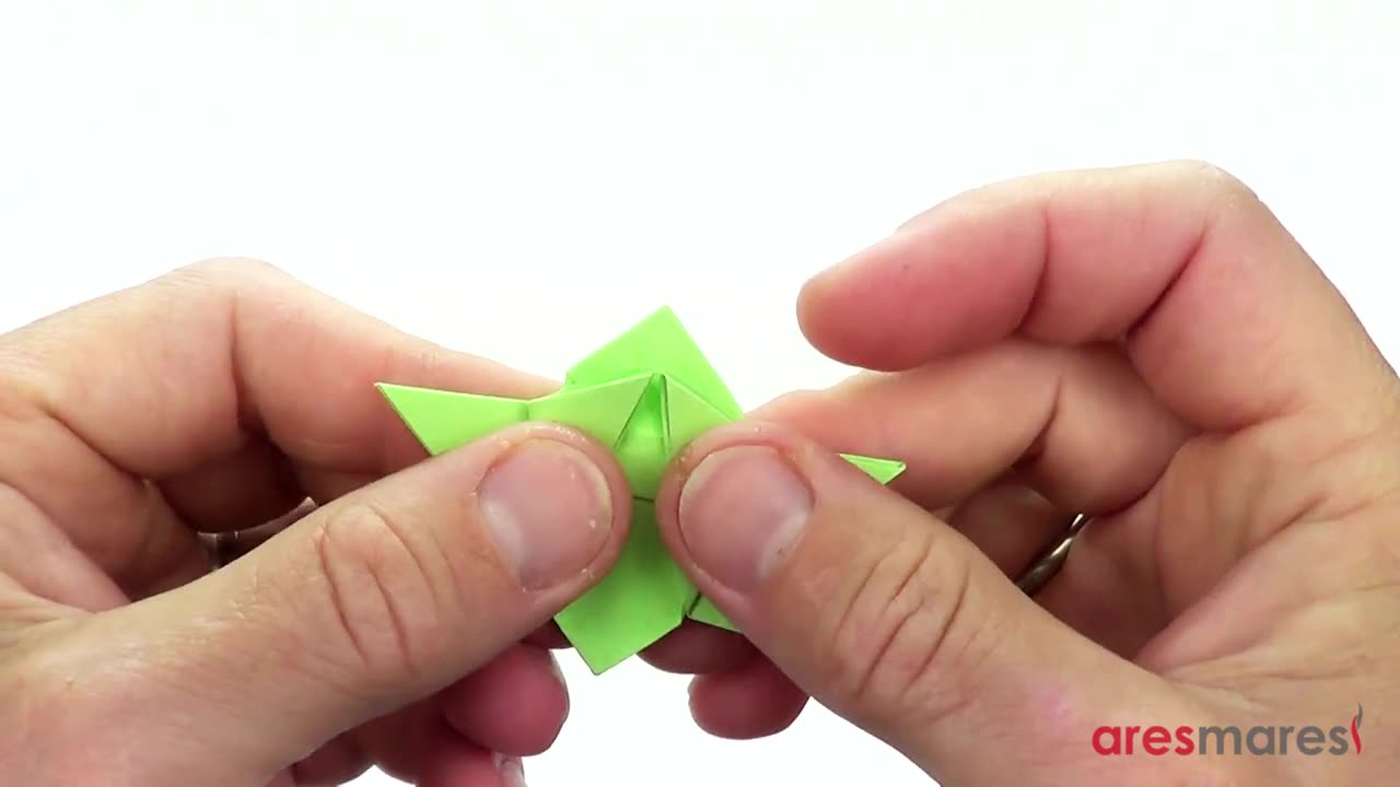 turtle origami