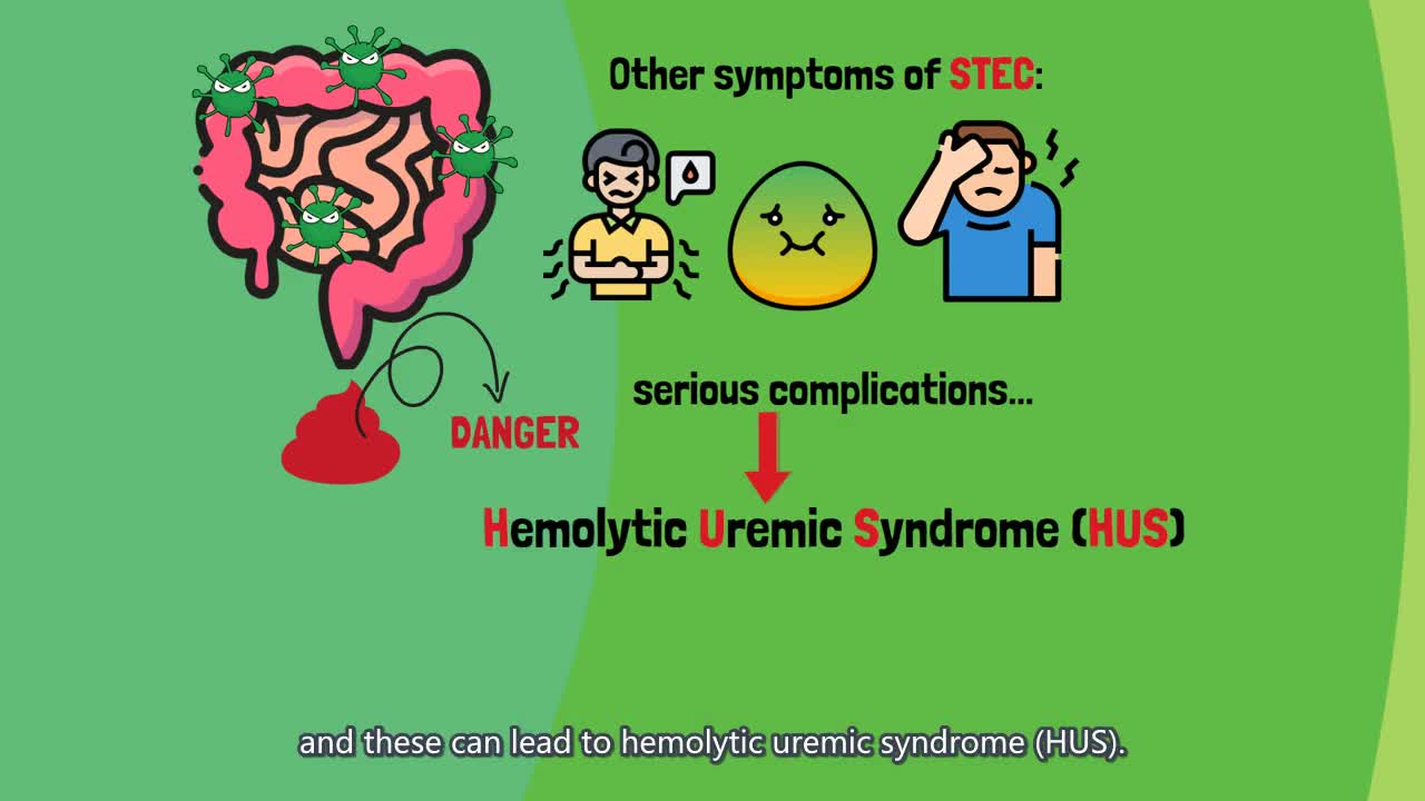 [Quick guide] E.coli