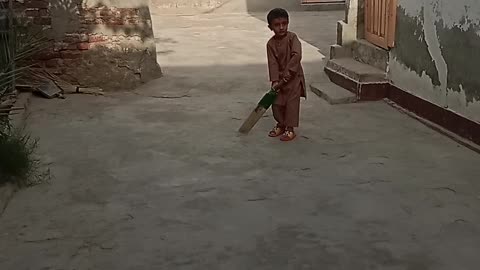 Playing cricket