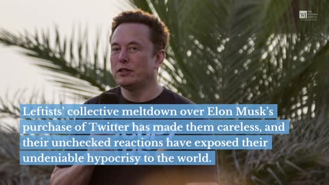 Elizabeth Warren Believes She's Got Perfect Rebuke of Musk, Doesn't Realize She Just Made His Case