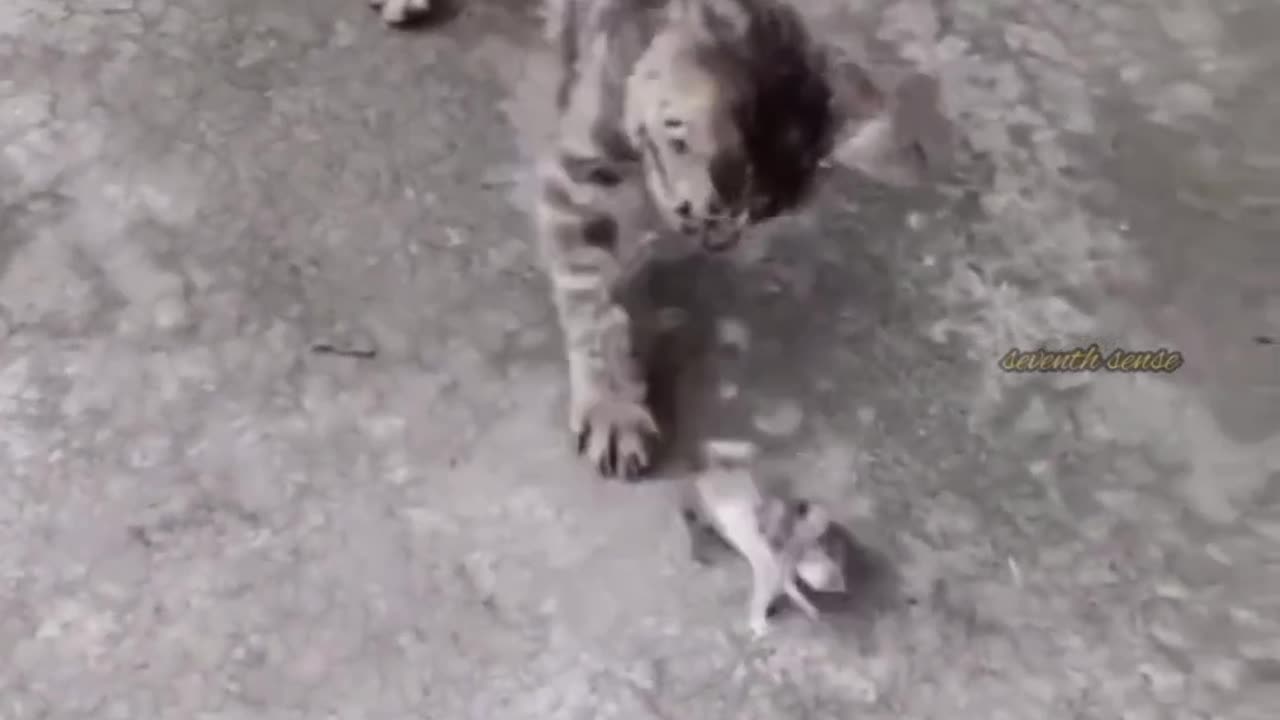 # verry funny comedy video 🤣