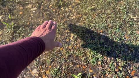 MISSISSIPPI RIVER AT BRUSLY LUISIANA USA