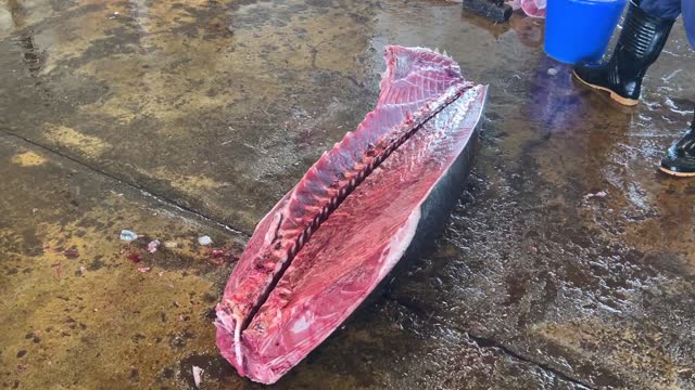 Amazing bluefin tuna cutting skills(9) The most popular way to kill fish isn't great for the fish