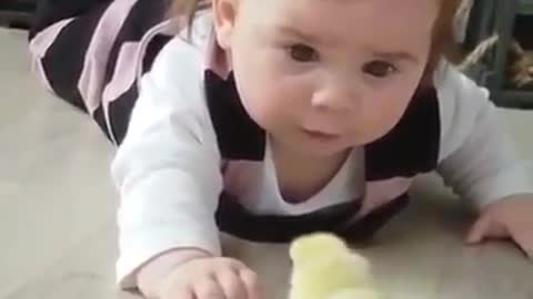 Baby play with Chick