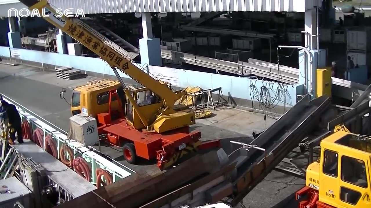 Frozen Tuna Processing Line in Factory - Tuna Processing and Packing