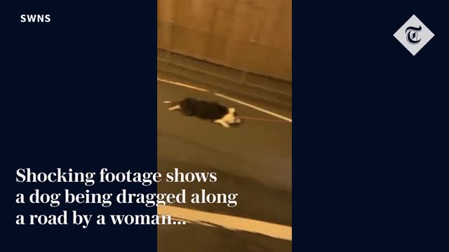 13_Shocking footage of woman dragging dog behind her while driving mobility scooter