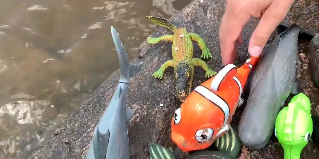 Sea Animal Toys This Summer at the Shore