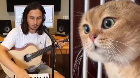 The Kiffness x Oh Long Johnson 2.0 - Hold Onto My Fur (Talking Cat Song)
