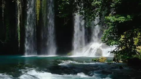 Nature at its best