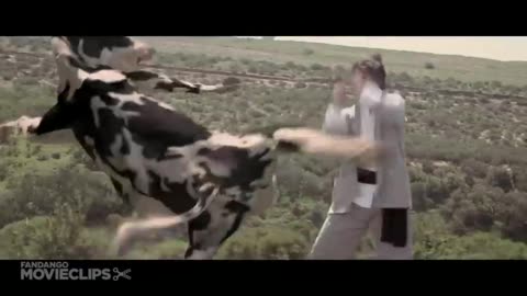 Kung Fu paw 🐾 Enter the Fist 👊👊👊