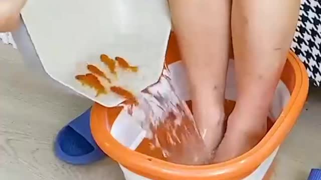 😍Smart Gadgets | Home Appliances | Useful Items | #shorts #gadgets #viral #trending #blooper