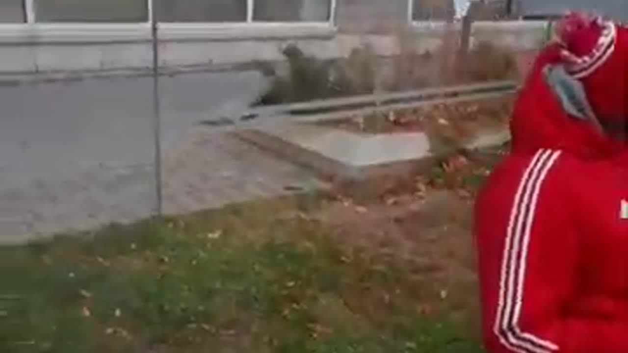 Awakening to your SURROUNDINGS series.