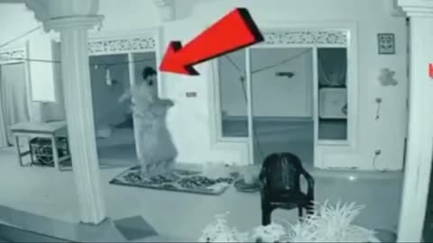 The clearest and spookiest ghost sightings recorded on CCTV cameras