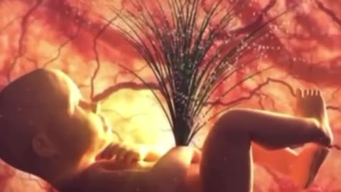 ~IN THE BEGINNING~