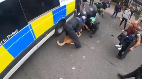 Unarmed man being mauled by dog