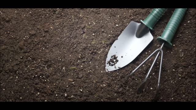 Masary Sod and Landscaping Services - (352) 221-9606