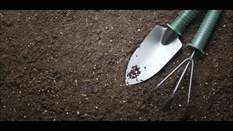 Masary Sod and Landscaping Services - (352) 221-9606
