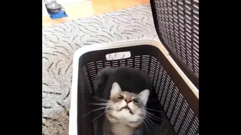 ''Please just let me be'' 😂