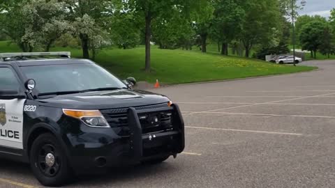 Asking The Question The pig ask