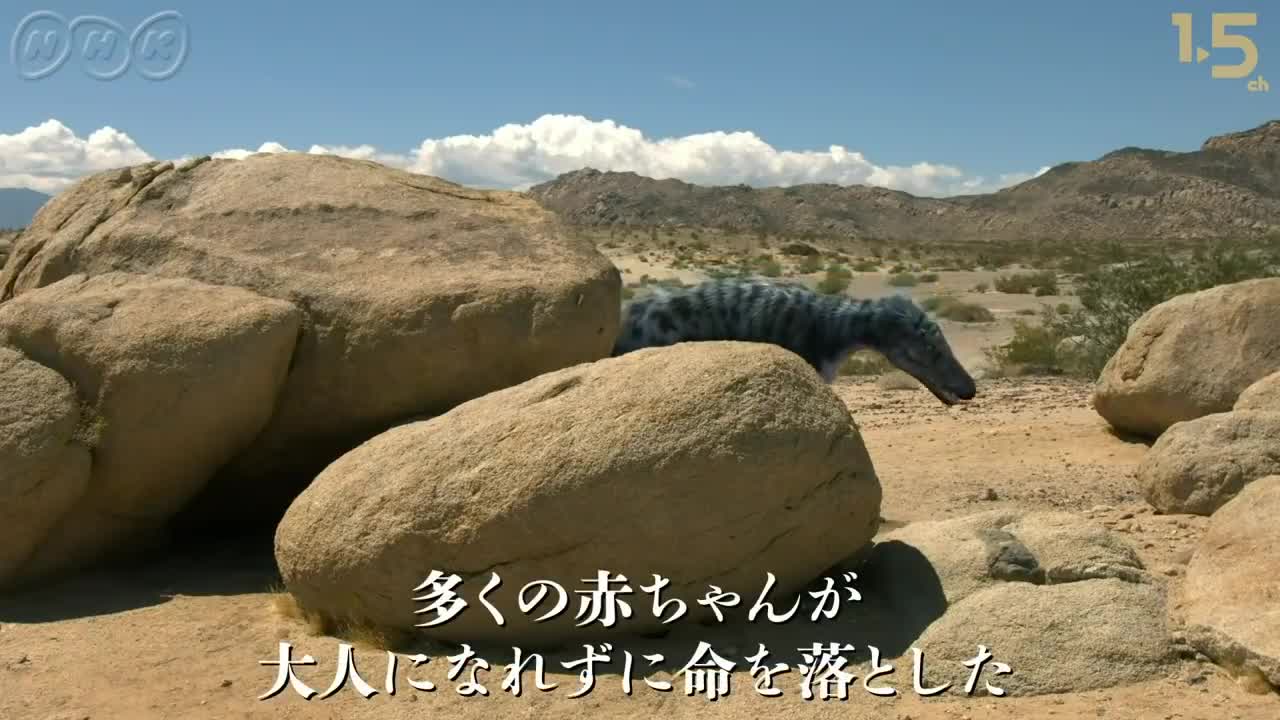 [恐竜CG] 丹波竜vs.ティラノサウルスの仲間！1億年前の兵庫県の恐竜たち _ 恐竜超世界 _ NHKスペシャル _ Japanese dinosaurs CG _ NHK
