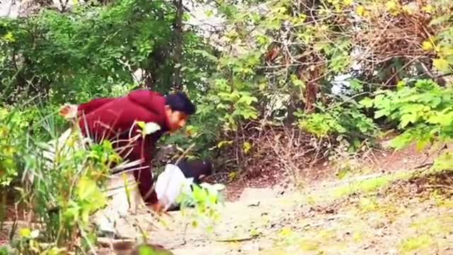 funny video