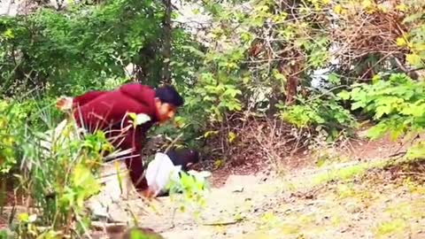 funny video