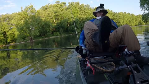 Kayak Close Call