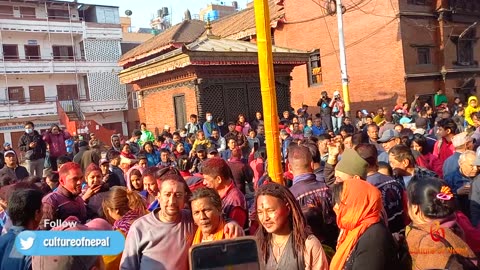 Erection of chir of Holi, Basantapur, Kathmandu, 2080