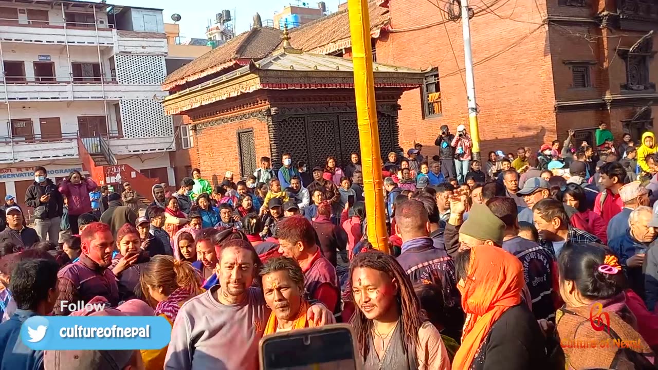 Erection of chir of Holi, Basantapur, Kathmandu, 2080