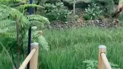 5 jam dari Jakarta terbayarkan