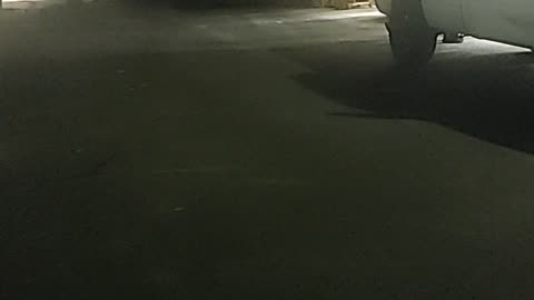 L88 Night Asshole Activity from the GOON SQUAD in the BARRIO - Feb 16th 2024
