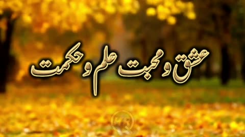 Isha o muhabbat ilm o hikmat by Qari Haris Raza Qadri || @qariharisrazaqadri
