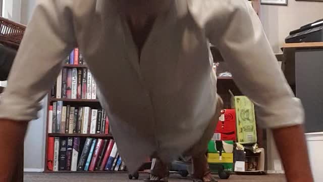30x5 sets 150 pushups