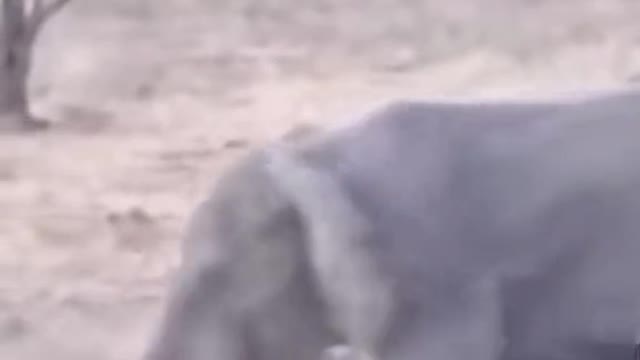 Who will win😮😮