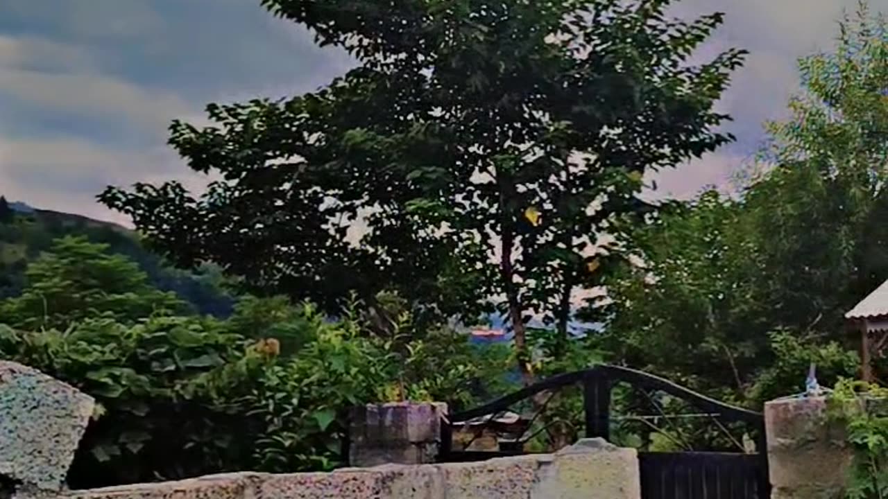 Kpk Pakistan Maira hasnal near muree