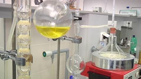 A new source of biofuel - leather sludge