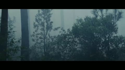 Giant wolf attack